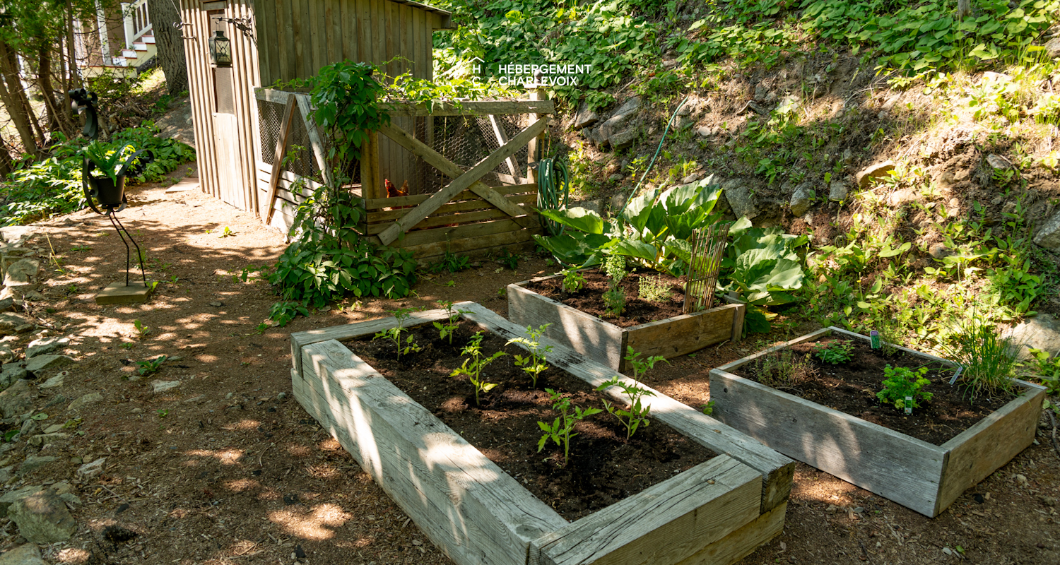 CAP-1 - Charming apartment in Baie-St-Paul